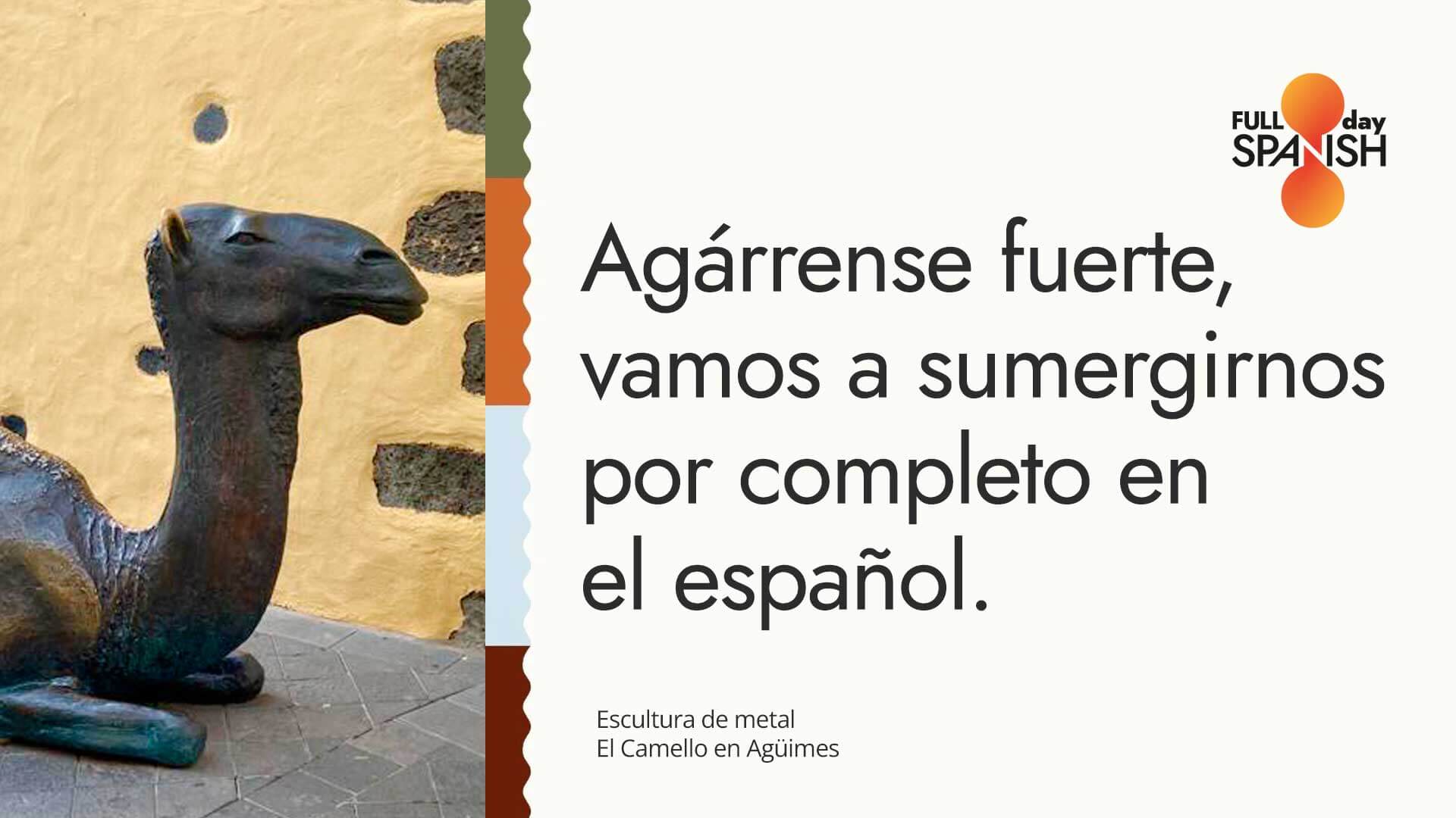 Mejora vuestro español de manera intensiva en Gran Canaria